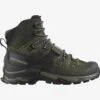 Salomon Quest 4 GTX -Archer's Haven L41292500 09acb43769a83fd82baa34ea32922fef png