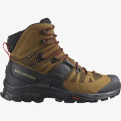Salomon Quest 4 GTX 19 Salomon Quest 4 GTX -Archer's Haven L47156400 d78fd74545c2e7ed16a274fd1cfa6ee0 png