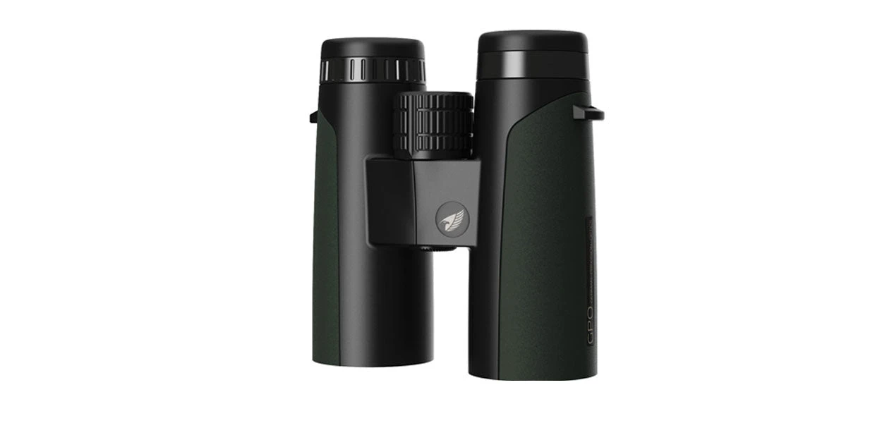 GPO Passion ED 7 GPO Passion ED - Image 5