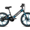 Rambo Kid's Trailbreaker 1 Rambo Kid's Trailbreaker -Archer's Haven rambo kids trailbreaker 250w ebike0004 400x284 jpg
