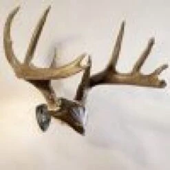 Skull Hooker Bone Bracket/Skull Cap Combo -Archer's Haven skull hooker bone bracketskull cap combo archery 413