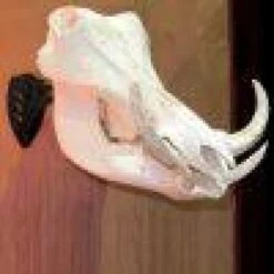 Skull Hooker Little Hooker -Archer's Haven skull hooker little archery 276