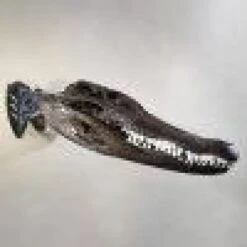 Skull Hooker Little Hooker -Archer's Haven skull hooker little archery 387