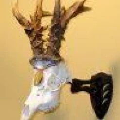 Skull Hooker Little Hooker -Archer's Haven skull hooker little archery 420