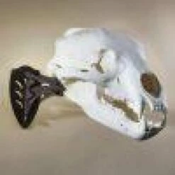 Skull Hooker Little Hooker -Archer's Haven skull hooker little archery 746