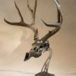 Skull Hooker Table Hooker 15 Skull Hooker Table Hooker -Archer's Haven skull hooker table archery 272