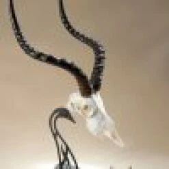 Skull Hooker Table Hooker 13 Skull Hooker Table Hooker -Archer's Haven skull hooker table archery 473