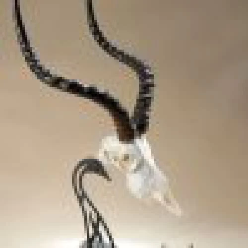 Skull Hooker Table Hooker 6 Skull Hooker Table Hooker - Image 4