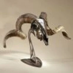 Skull Hooker Table Hooker 16 Skull Hooker Table Hooker -Archer's Haven skull hooker table archery 619