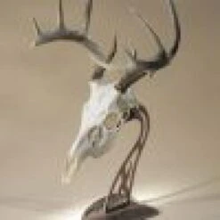 Skull Hooker Table Hooker 17 Skull Hooker Table Hooker -Archer's Haven skull hooker table archery 681