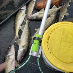 Tactacam Solo Fish-I SALE $120 OFF -Archer's Haven tactacam solo fish i gear 550